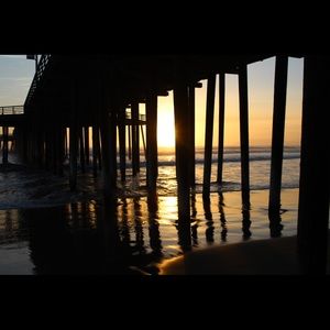 Meet your Posher, Sydnee